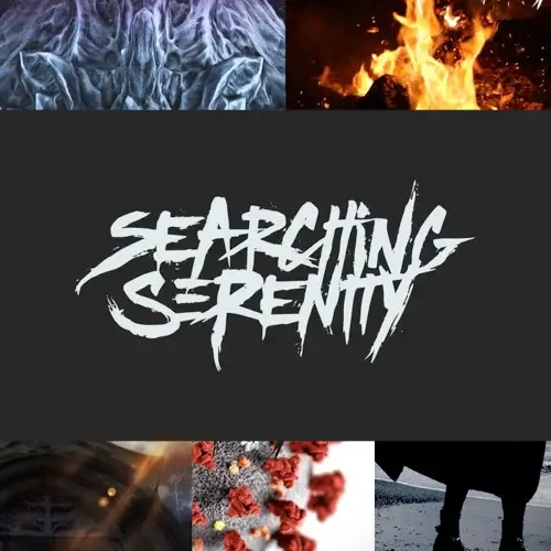 Searching Serenity : Instrumentals, Vol. 1